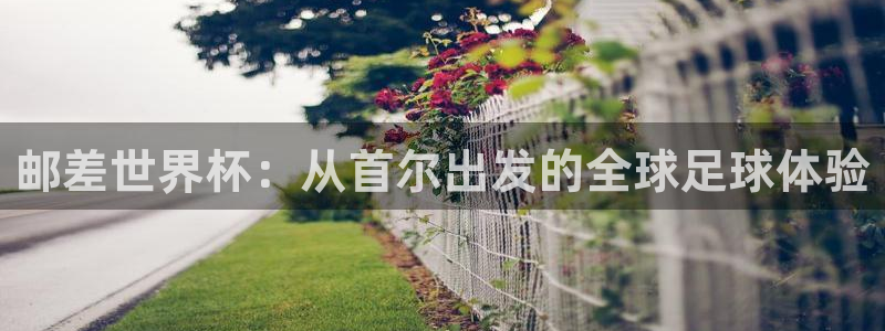 雨燕体育直播高清nba