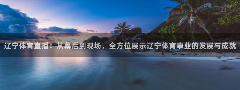 新雨燕直播体育