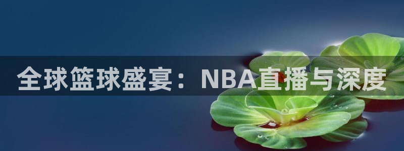 雨燕体育直播app