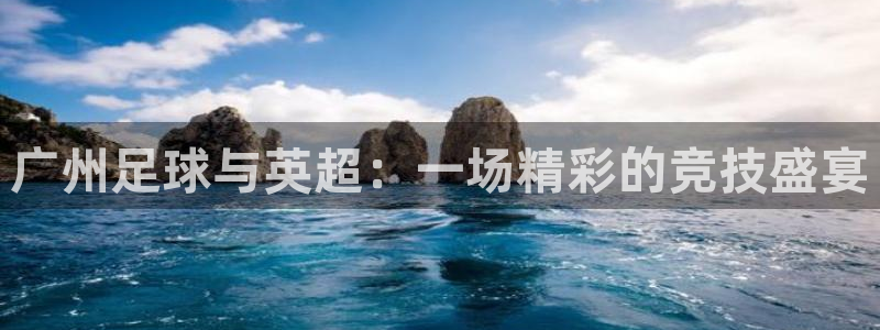 雨燕足球直播app