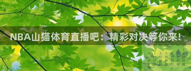 nba直播雨燕360平台
