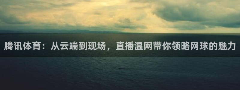 雨燕360直播nba高清