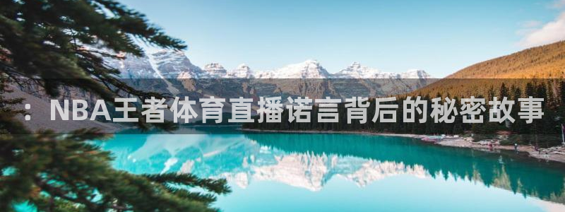 雨燕体育足球直播免费观看