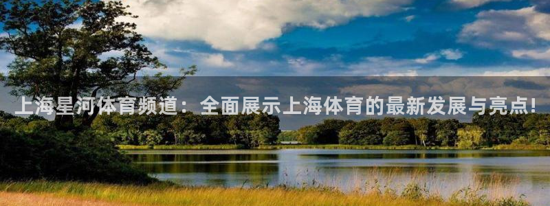 雨燕直播体育平台