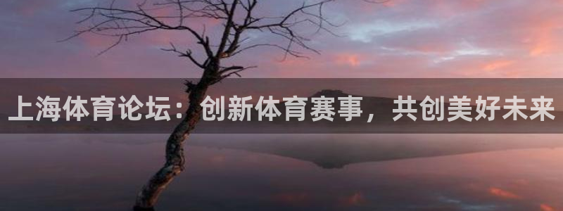 nba直播免费雨燕：上海体育论坛：创新体育赛事，共创美好未来