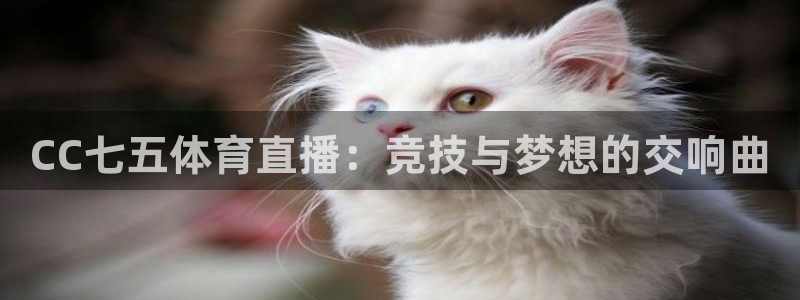 雨燕直播在线体育：CC七五体育直播：竞技与梦想的交响曲