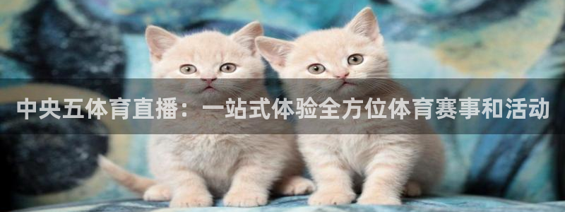 857雨燕直播体育：中央五体育直播：一站式体验全方位体育赛事和活动