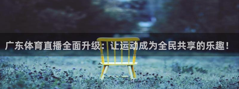 雨燕高清体育直播nba：广东体育直播全面升级：让运动成为全民共享的乐趣！