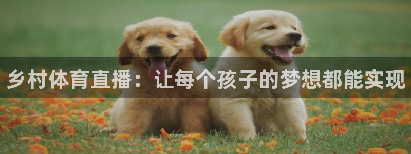 雨燕免费体育直播在线看：乡村体育直播：让每个孩子的梦想都能实现