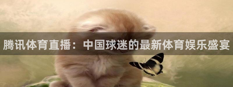 雨燕直播体育在线观看免费：腾讯体育直播：中国球迷的最新体育娱乐盛宴