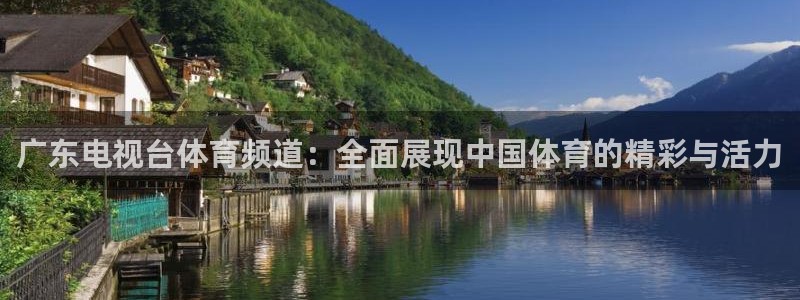 雨燕直播体育：广东电视台体育频道：全面展现中国体育的精彩与活力