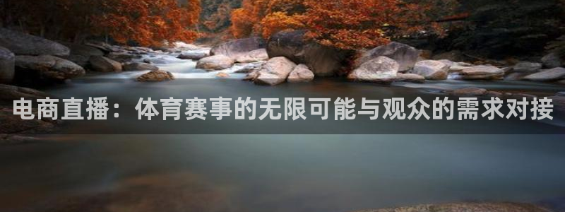雨燕免费看足球直播