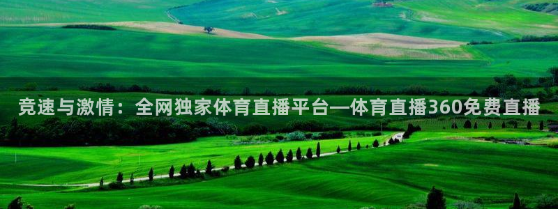 360体育在线雨燕直播：竞速与激情：全网独家体育直播平台—体育直播360免费直播