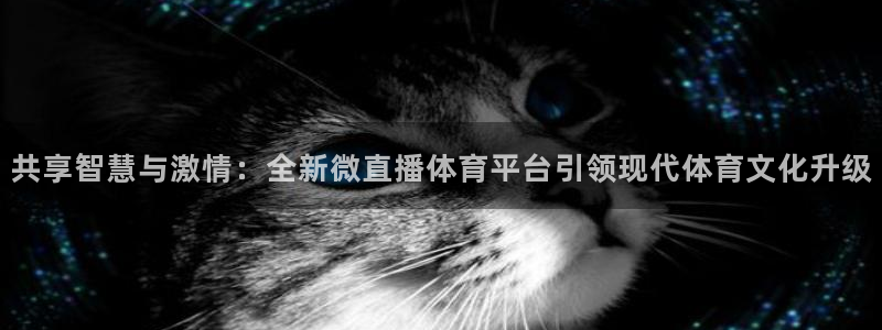 乐球吧nba直播雨燕360：共享智慧与激情：全新微直播体育平台引领现代体育文化升级