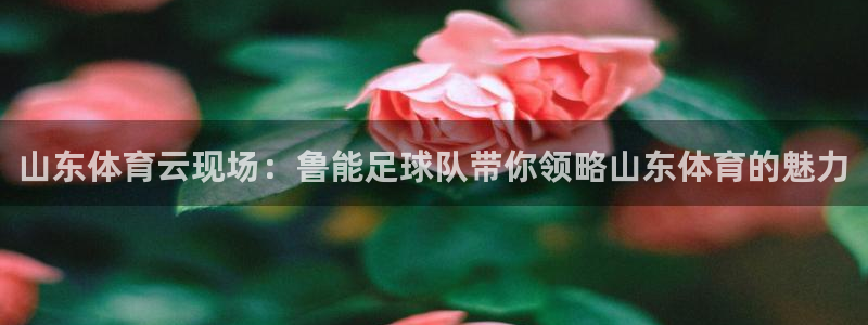 雨燕直播在线观看nba：山东体育云现场：鲁能足球队带你领略山东体育的魅力