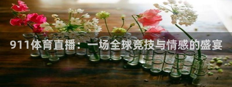 360体育雨燕直播：911体育直播：一场全球竞技与情感的盛宴