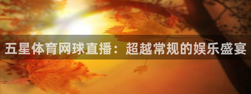 雨燕体育直播下载：五星体育网球直播：超越常规的娱乐盛宴
